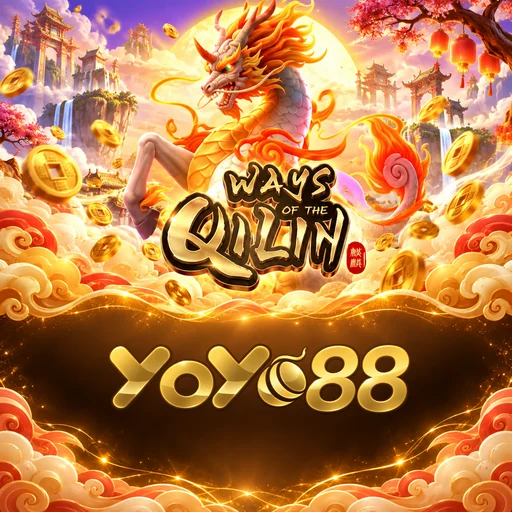 yoyo88 Features Highlight